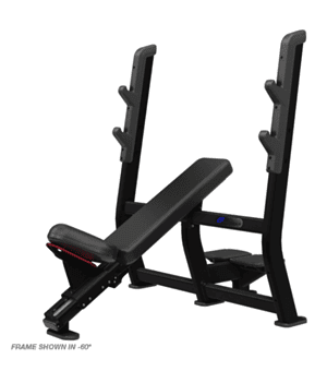 Nautilus Olympic Incline Bench 9NP-B7203